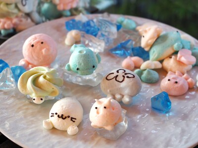 水族館の“かわいい”は持ち帰れる--21歳若手職人が挑む新提案、イルカとアザラシの「ムラング・ココ」を4...