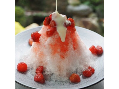 フルーツをふんだんに使ったかき氷の蜜を新発売