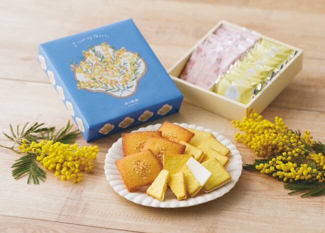 【3月8日はミモザの日】福岡・長崎の洋菓子店『赤い風船』より満開のミモザを描いたスプリングアソートを期間限定で発売！