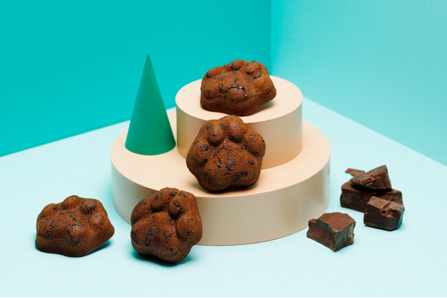 【博多土産】【期間限定】　ショコラで彩る冬の“コク旨スイーツ”「KOKUNEKO(コクネコ)」から、新作フィナンシェを発売！