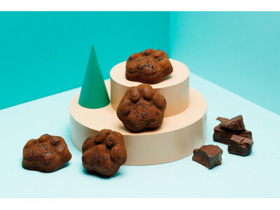 【博多土産】【期間限定】　ショコラで彩る冬の“コク旨スイーツ”「KOKUNEKO(コクネコ)」から、新作...