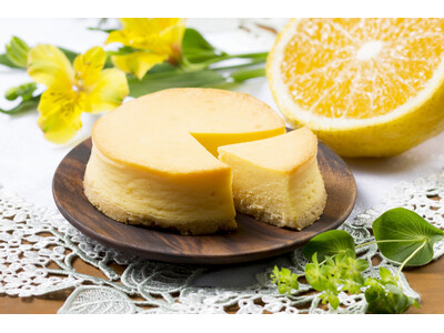 ≪ しっとり食感・濃厚な味わい ≫ さわやかな柑橘の風味が広がる『夏みかんクリーミーチーズケーキ』が【タンテ・アニー】より、4月1日（水）期間限定発売！