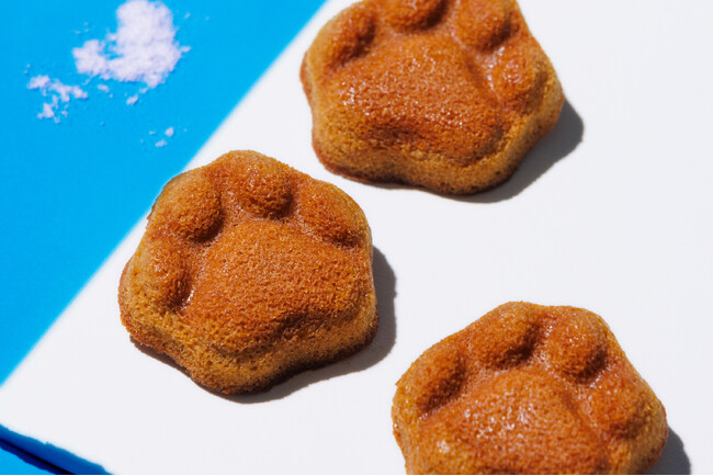 ＜黒糖×バター＞に“雪塩“を合わせた肉球型フィナンシェ。【KOKUNEKO(コクネコ) 】より『コクウマソルティフィナンシェ』を5月1日（金）から期間限定で発売いたします！