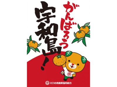 １１月より、関東・中四国のイオンにて“えひめ宇和島温州みかん”販売