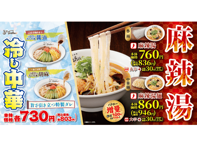 6品目の具材が彩る冷し中華と、11種のスパイスが織りなす麻辣湯