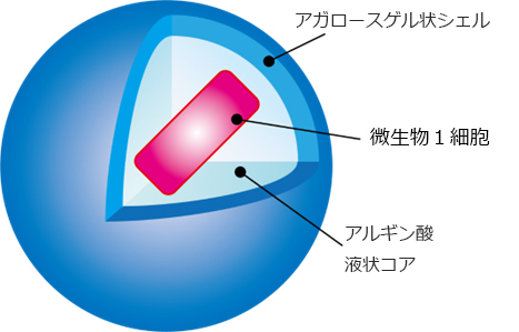 アガロースゲル・マイクロカプセル作製技術について理化学研究所と特許使用許諾契約を締結