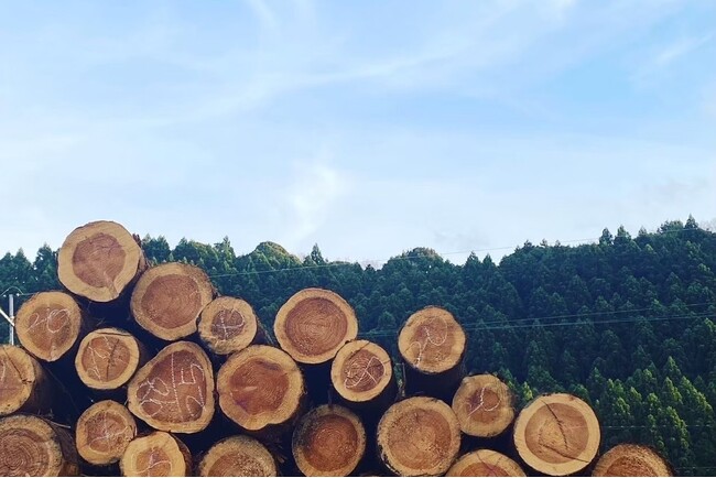 プレスリリース「 ＜2024年度 第26回 日本木材学会技術賞受賞＞『SUGI WOOD』エッセンシャルオイルを環境に配慮した新製法で抽出。林業支援プロジェクトとしてCAMPFIREにてクラウドファンディングを開始 」のイメージ画像