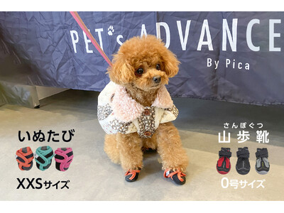 ���q�l�̐����珬�����T�C�Y���V�o��I���������ČC���Ȃ����������R�����̓��������C