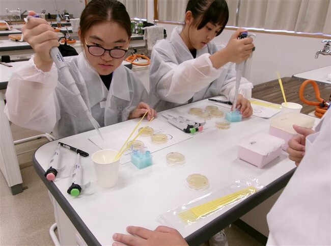【新居浜高専】光る大腸菌を作ろう！中学生が遺伝子組み換え実験に挑戦 ──鬼北町でバイオテクノロジー出前講座を開催