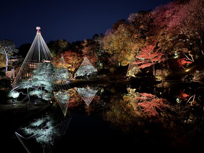 【文京区・肥後細川庭園】秋の紅葉ライトアップ「ひごあかり」、11月22日（土）から開催！深まる紅葉と竹あかりが織りなす幻想的な9日間。