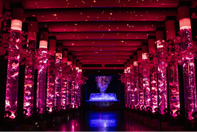 【銀座】満開の桜が金魚と舞う、幻想的な“桜の没入空間”をプロデュース！日比谷花壇、アートアクアリウム美術館 GINZAと再びコラボ。