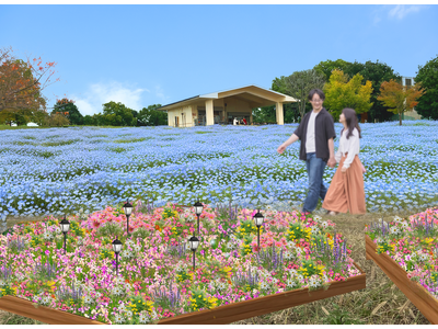 「花と光のムーブメント 舎人公園～ネモフィラと百花の花景色～」２０２６年４月１０日（金）～４月２６日（日）開催