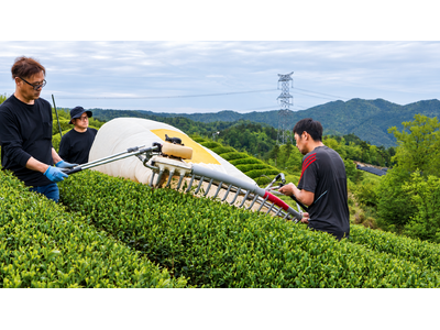 1200年の銘茶が、名門公家ゆかりの歴史的茶室へ。東京国立博物館で特別茶会を開催