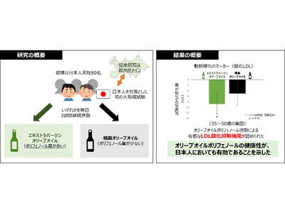 日本人におけるオリーブオイルポリフェノールの健康性が明らかに