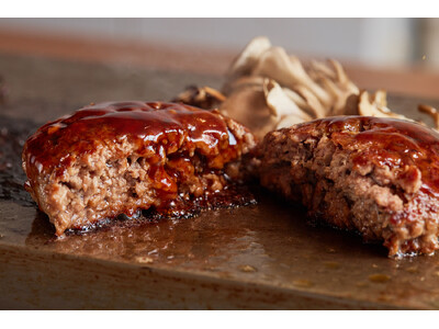 2/29は4年に一度の肉の日「KINTANの冷凍食品シリーズ」に2種のハンバーグが新登場！期間限定“2種のハンバーグセット”2月29日～20％OFFセール開催