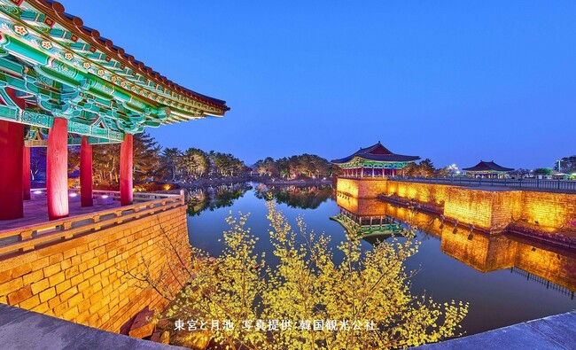 ≪下関港発着≫ 2026年新羅の古都秋の慶州世界遺産 特別企画 関釜フェリーで行く、彩の季節に訪れる慶州　日没時間以降ライトアップも楽しむ　善徳女王にまつわるツアー　販売開始ついて