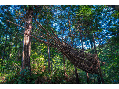 広さ60万平米の自然派アートサイト LAND ART PARK「ACAO FOREST」内に、秋山美晴 ...