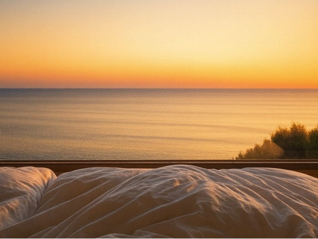 A Cabin Companyと業務提携を締結。ACAO FOREST内に2026年、キャビンホテル5棟を開業へ！