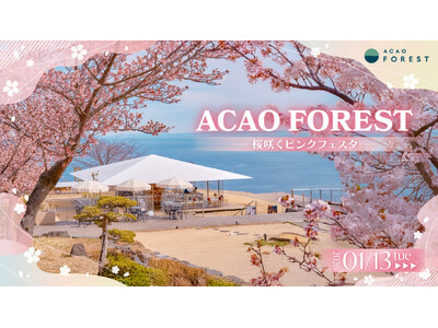 熱海で桜が続々と開花中！園内が桜色に染まる期間限定イベント「ACAO FOREST -桜咲くピンクフェス...