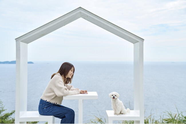 熱海 犬イベント「ACAO DOG FESTA 2026 -Spring-」、ドッグフォトグラファーAKIによる撮影講習会も開催