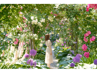 約600種4,000株のバラが見頃。6月7日まで相模灘を臨む丘陵地で「ACAO ROSE FESTA 2026」を開催中！