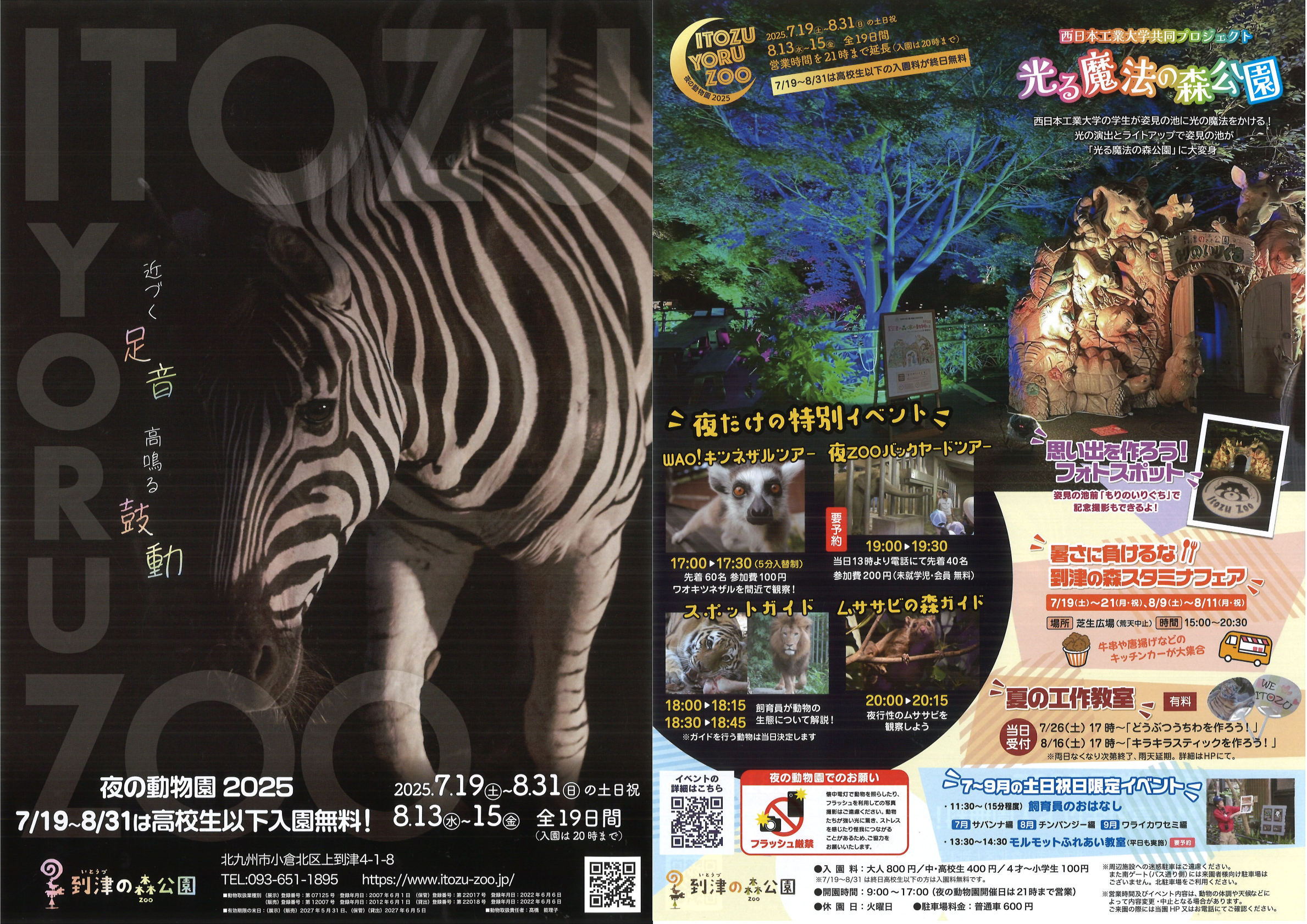 Itozu Yoru Zoo　～夜の動物園 北九州市・到津の森公園 ～