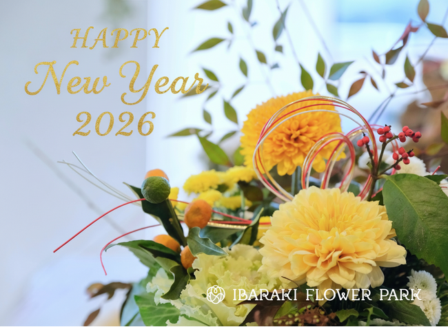 【バラ1輪やお餅の無料ふるまい開催】いばらきフラワーパークニューイヤー2026