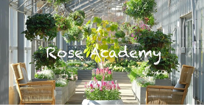 【新開講】五感で花と季節を愛でる贅沢な学び。「いばらきフラワーパーク」にて花と食のプロが教える『ローズアカデミー』1月31日（土）スタート！