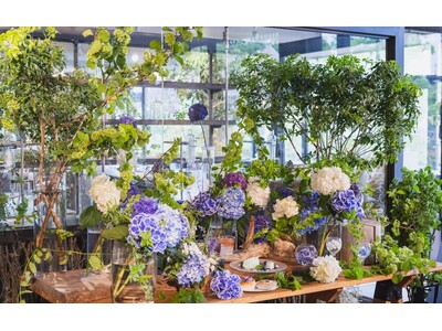【いばらきフラワーパーク×BEB5土浦】春バラと紫陽花が共演するコラボ企画『雫にきらめく、紫陽花の季節』...