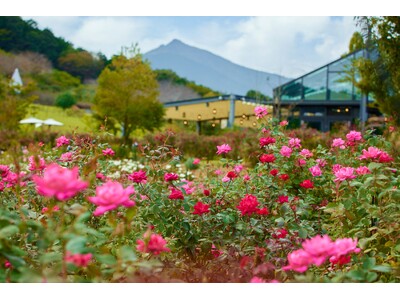 �y10�����{���猩���\�z�z���΂炫�t�����[�p�[�N�Ŋ�����A��800�i��8,000���̏H�o����������[������ƖL���ȐF��