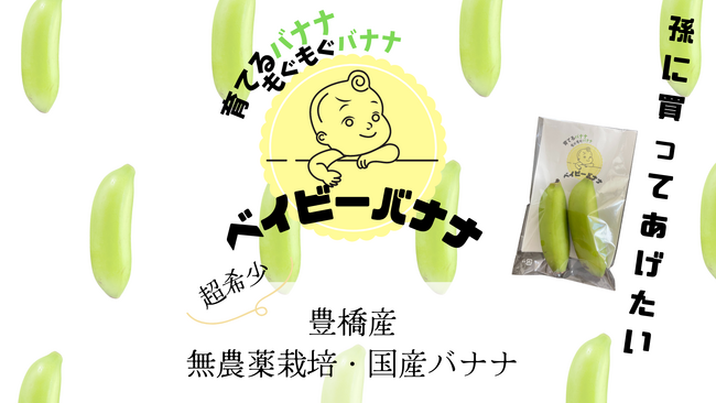 【国産】無農薬だから赤ちゃんが食べても安心！育てるバナナ・もぐもぐバナナ・その名も「ベイビーバナナ！」を発売