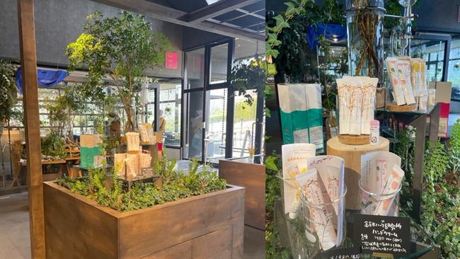 いばらきフラワーパークで新規取り扱いを2/14から開始 茨城特産品の香りが楽しめる3種類のハンドクリーム