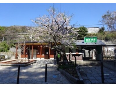 大学生と江ノ電のコラボで、食と健康に特化した地域をつなぐ企画を実現。春の極楽寺駅で駅前マルシェ「えのまる」を開催！