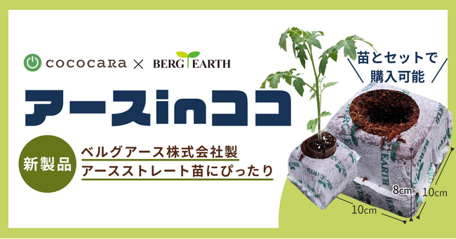 ココカラ合同会社とベルグアース株式会社が共同開発　アースストレート苗専用のココピート培地「アースinココ」を新発売