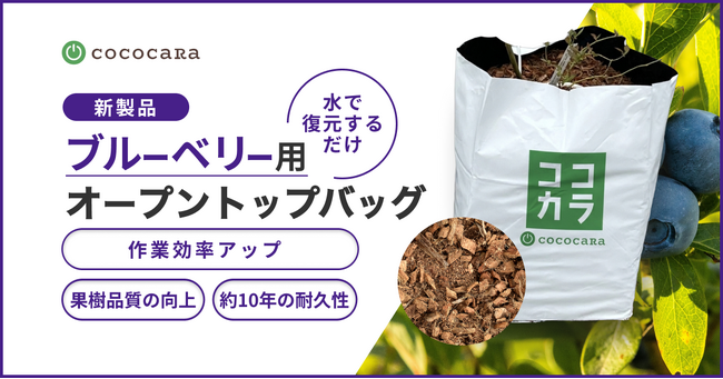 ココカラ、現場の声から生まれたブルーベリー栽培向けの培地一体型オープントップバッグを発売