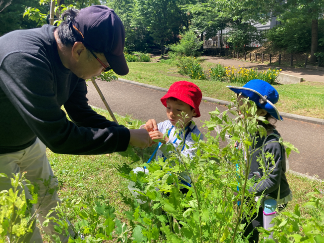【こどもの休日の過ごし方】中学受験理科頻出！生物分野を楽しく学ぼう