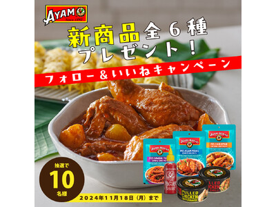 エスニック食材「アヤム」新商品の詰め合わせが10名さまに当たる！Instagramキャンペーンを11/18まで開催中