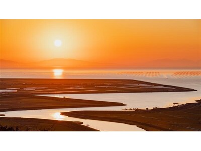 “佐賀県”の魅力を丸ごと味わう３日間！東京の地域密着型飲食店「ねづくりや」で佐賀県フェア初開催！