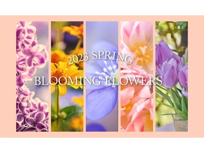 累計販売枚数１００万枚突破！育乳ブラのオーソリティ「グラモアブラ」自社SNSのカラー総選挙でファンに選ばれた新色「ダスティーローズ」「トープ」が発売中！