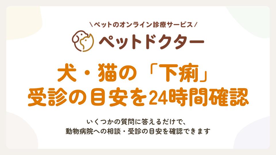ペットのオンライン診療「ペットドクター」、受診判断を支援する「症状チェッカー」…