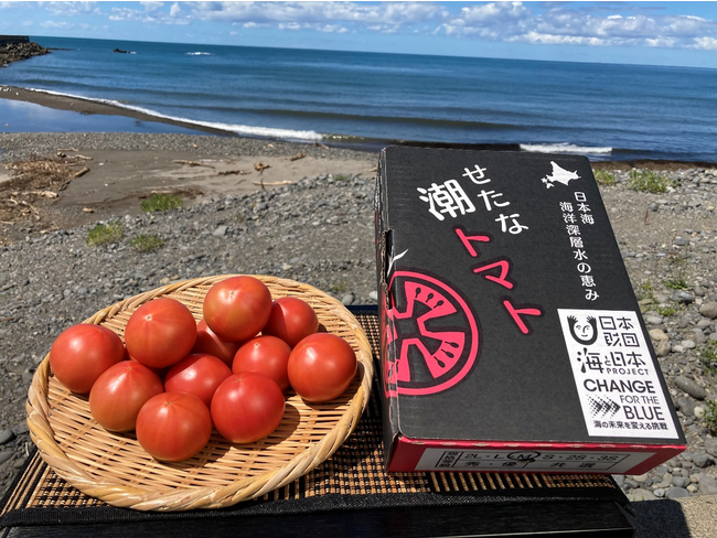 海洋深層水を与えられて育った糖度8度以上の”せたな潮(しお)トマト”今年はCHANGE FOR THE BLUE仕様のデザインで販売開始！