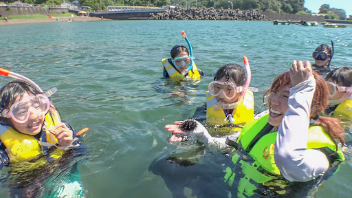 徳島の海にぼくたちができることとは。「よみがえれ！ぼくたちのアオサノリ」を開催しました！