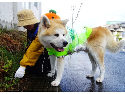 新マナー習慣！愛犬と清掃活動であきたの海ごみゼロへ！「犬の散歩でごみ拾いキャンペーンIN大館」を開催します