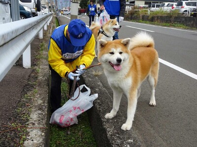 あきたの海ごみゼロへ！新しいマナー習慣の提案「犬の散歩でごみ拾いキャンペーンIN大館 part6」を開催。