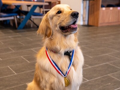 愛犬同伴型ホテルで限定開催『海辺のWan！Do会』― 愛犬と宿泊・参加できる特別イベント ―