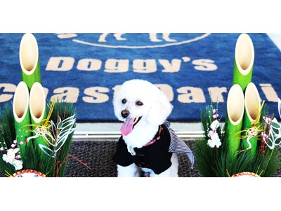 『愛犬と一緒に迎える、特別な年越しとお正月』Doggy’s Coast Oaraiにて年末年始限定のおもてなしを実施