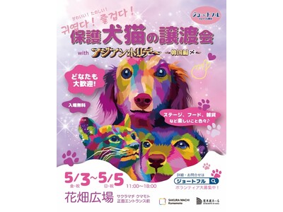 ジョートフル熊本プロジェクト、「韓国っぽ」な保護犬猫譲渡会イベントを開催！