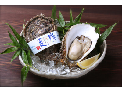 鳥取県産天然イワガキ「夏輝」・6月1日より今季初出荷　「ナイフが入れば、勝ち！」