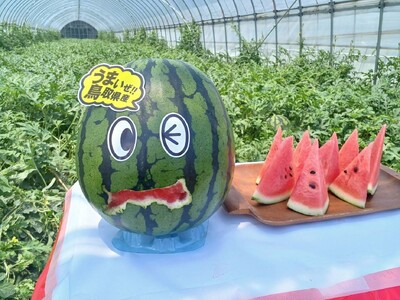 平均重量9.27kg、糖度12.2度　大玉で甘い「鳥取すいか」の季節到来　とっとり・おかやま新橋館で「鳥取すいかフェア」開催