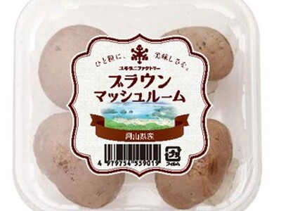 パッケージデザインを刷新！マッシュルーム商品リニューアルについて